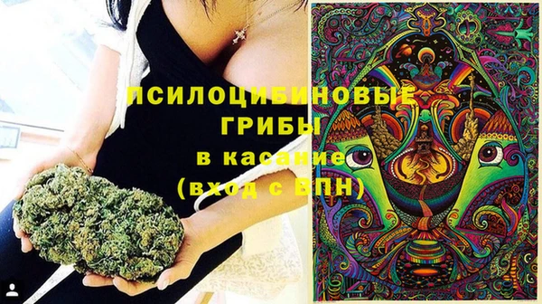 винт Алексеевка