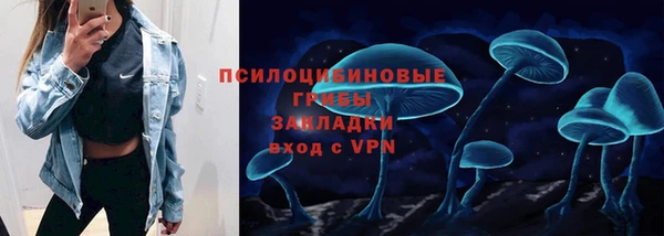 винт Алексеевка