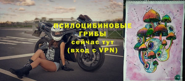 винт Алексеевка