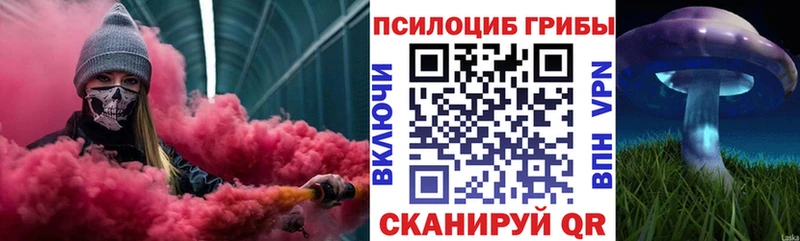 Псилоцибиновые грибы прущие грибы  как найти наркотики  Нижний Новгород 